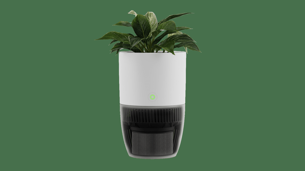 HEPA13 filter air purifier 