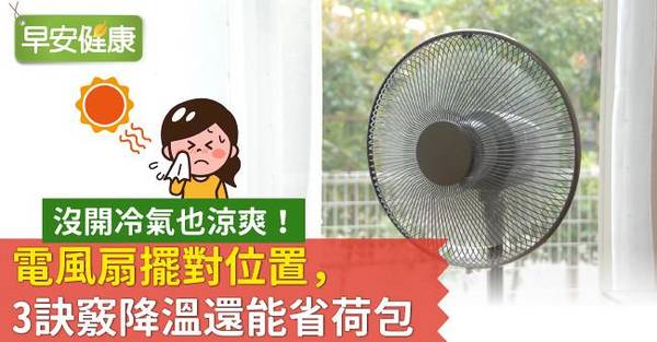 電風扇 涼爽 